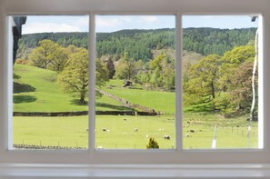 A view of a green field with sheep, a stone wall, and trees.