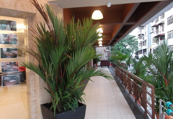 テラス / パティオ