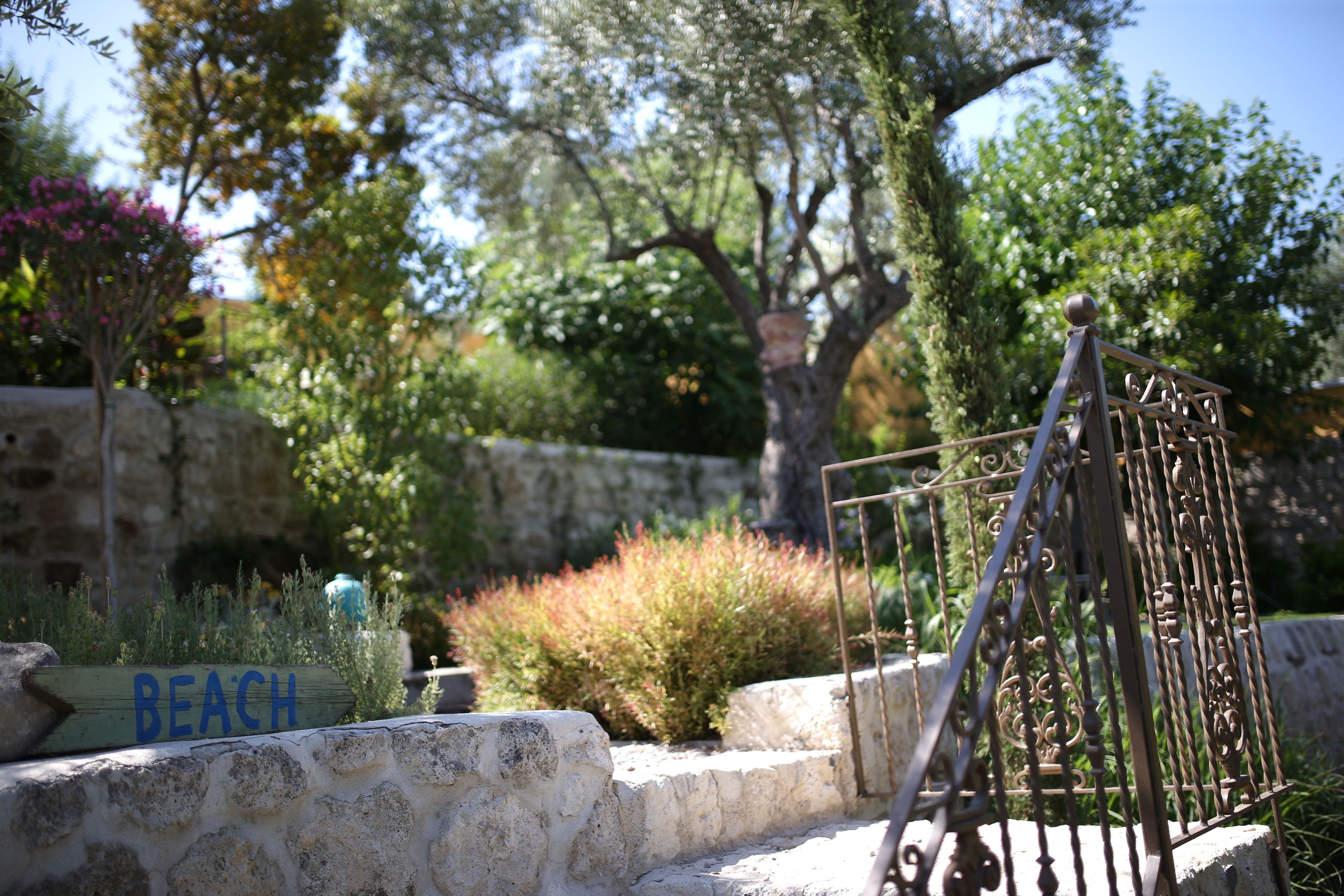 Vista desde la propiedad