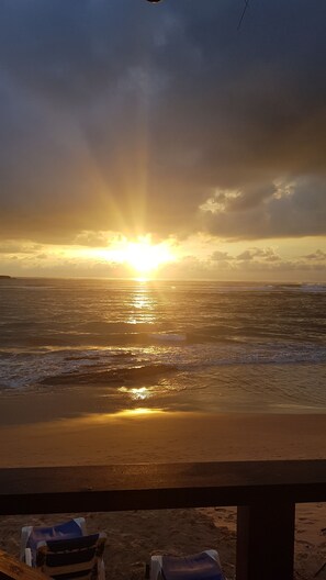On the beach, white sand, sun-loungers, beach umbrellas - Coral Seas Beach Hikkaduwa (Hikkaduwa)