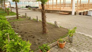 Una terraza de madera con vista al mar, rodeada de plantas en macetas y un pabellón blanco.