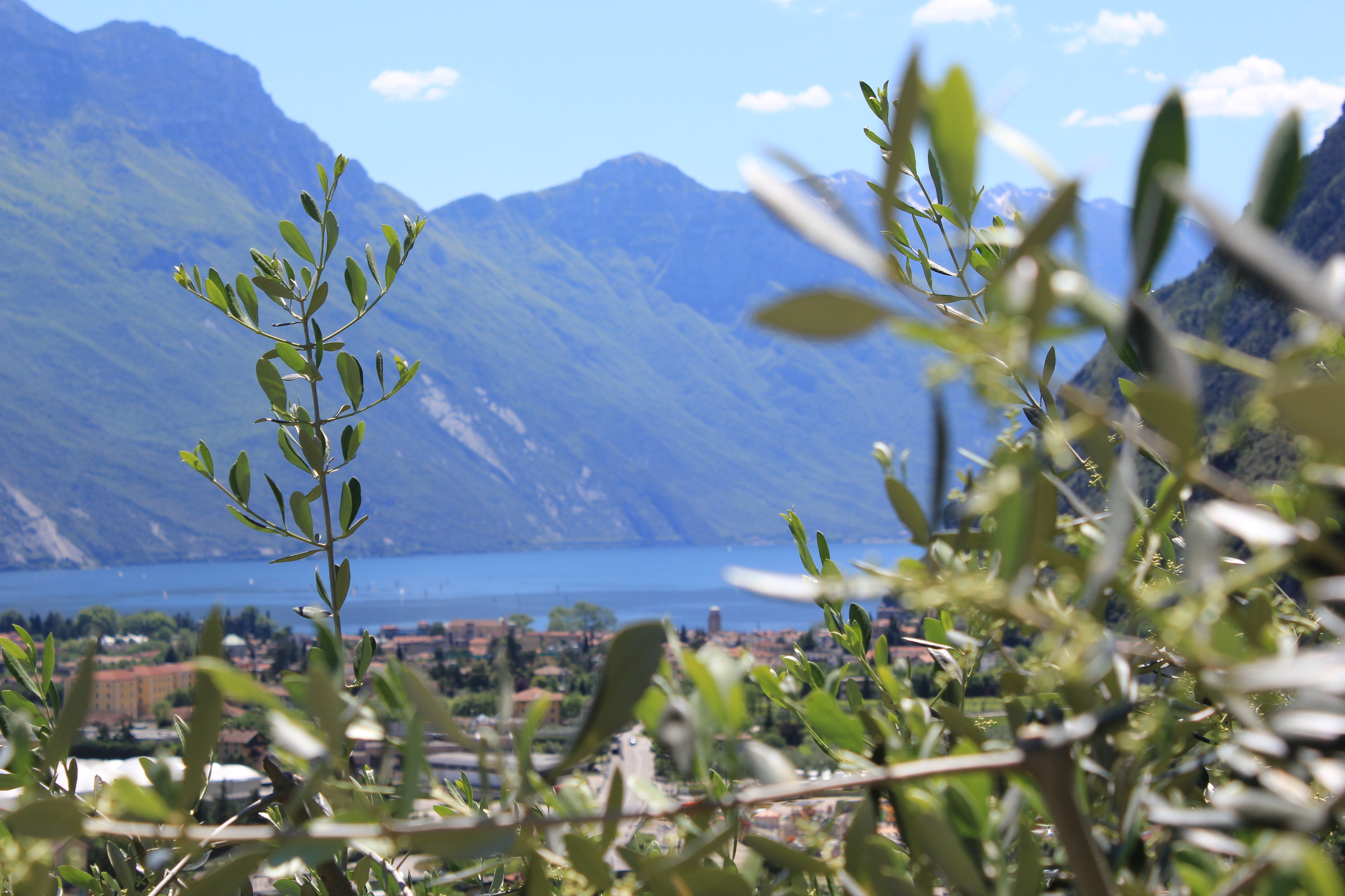 Photo - Maso Tobel Riva del Garda