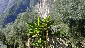 Un chemin de gravier menant à un bâtiment avec une chaîne de montagnes en arrière-plan.
