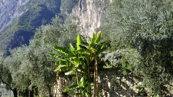 Blick von der Unterkunft