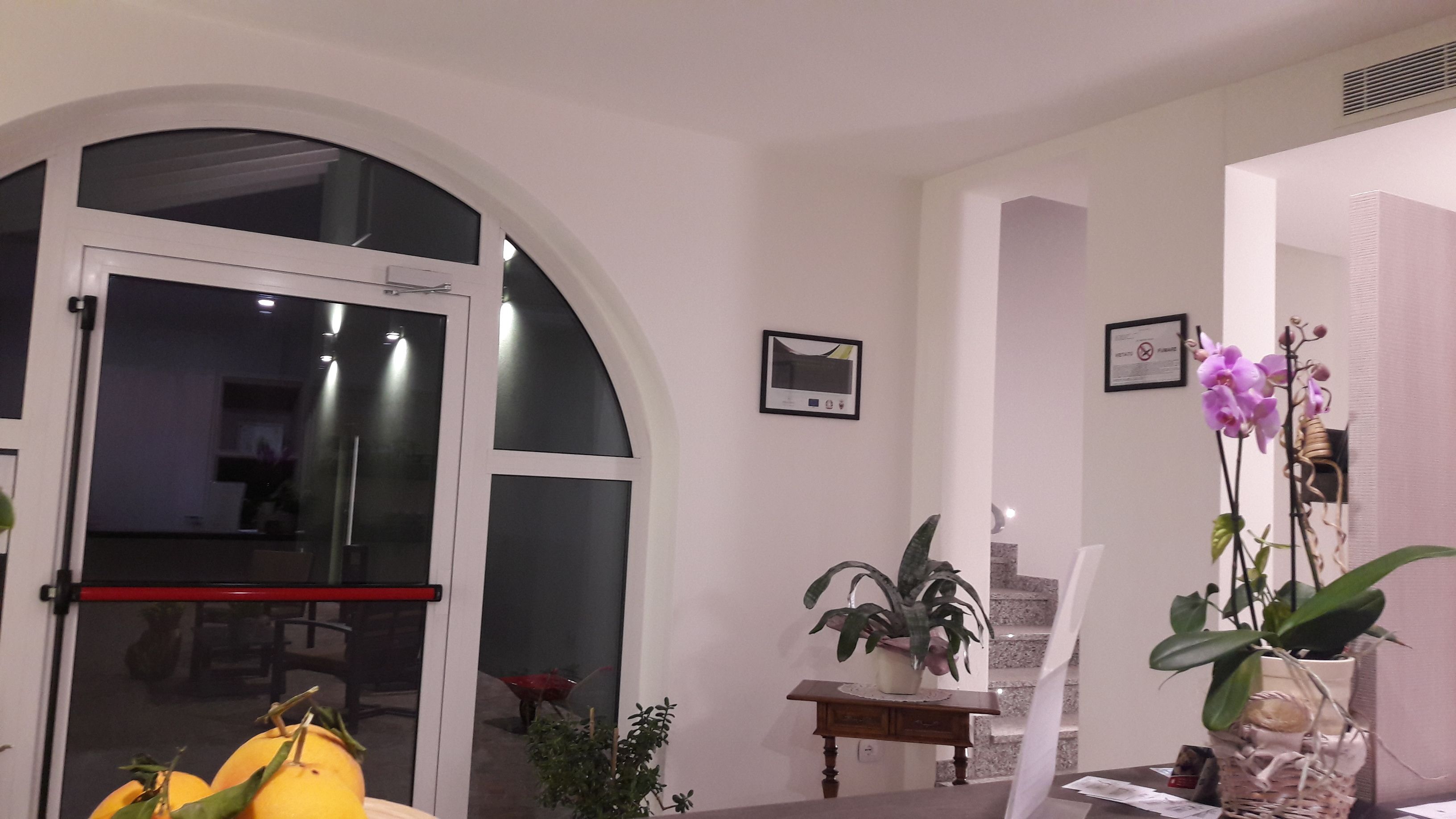 Um quarto com uma grande porta arqueada, uma pequena mesa com uma planta e um vaso de planta perto da porta.