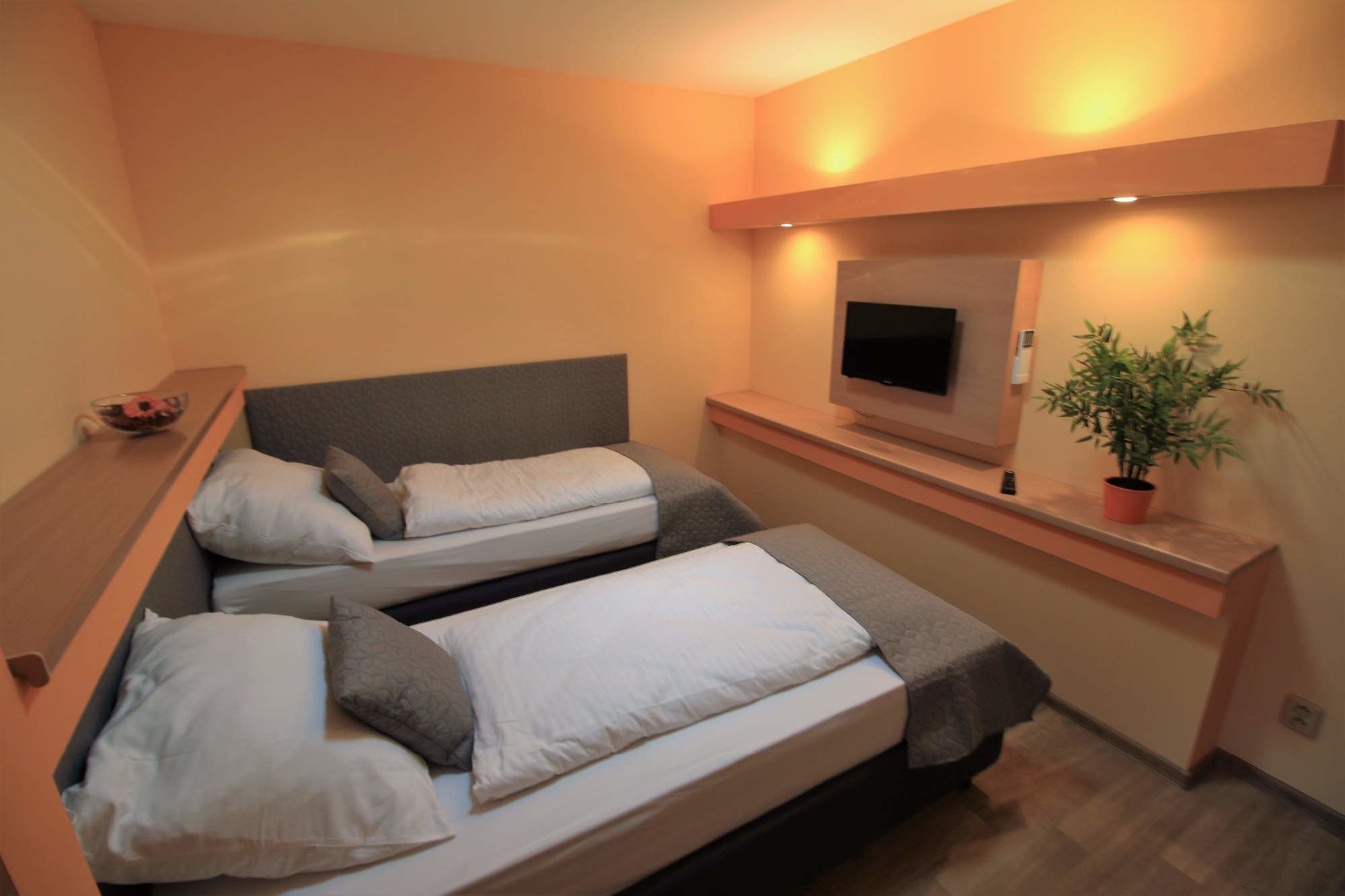 A hotel room with two beds, a TV, a small table with a bowl, and a potted plant.