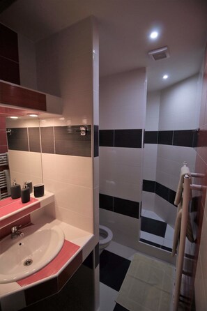 Regadera, amenidades de baño gratuitas, secadora de cabello, toallas 