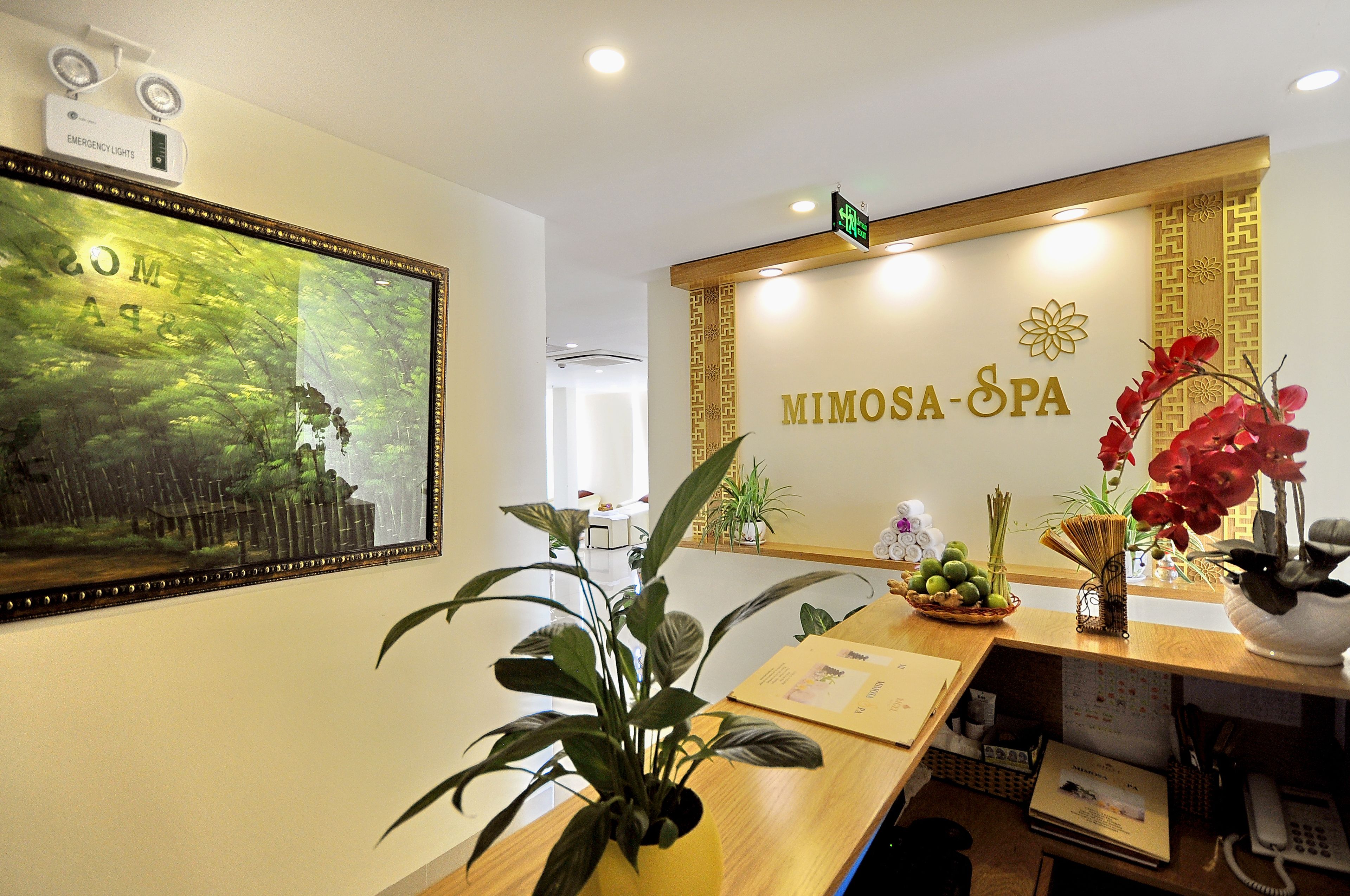 Massage/treatment rooms
