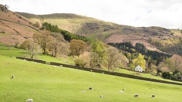 A green field with sheep grazing, a stone wall, and a house in the background.