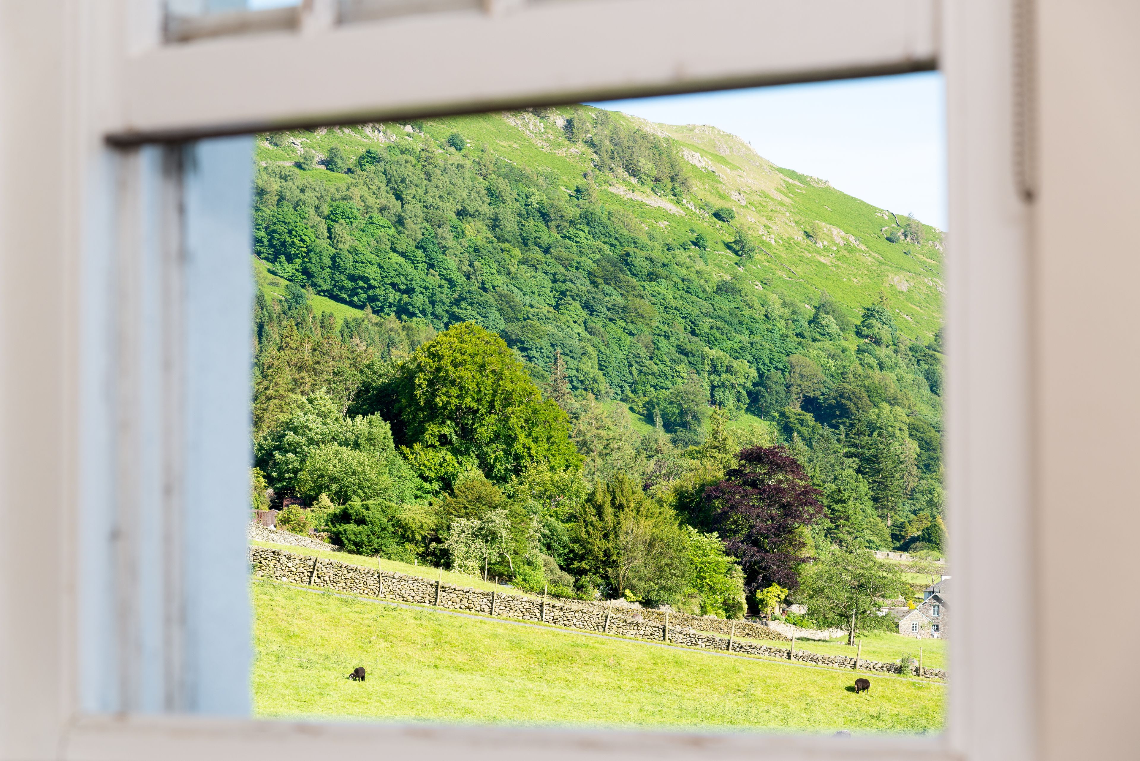 A view through a window of a green field with a stone wall, trees, and a hill in the background.