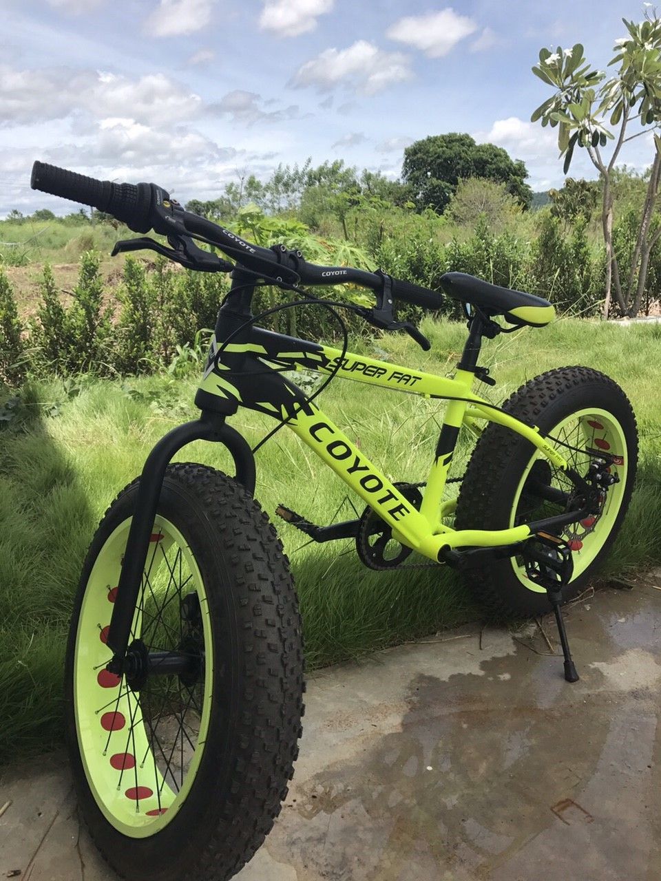 A yellow mountain bike with 'Coyote' branding, positioned on a concrete surface with greenery in the background.
