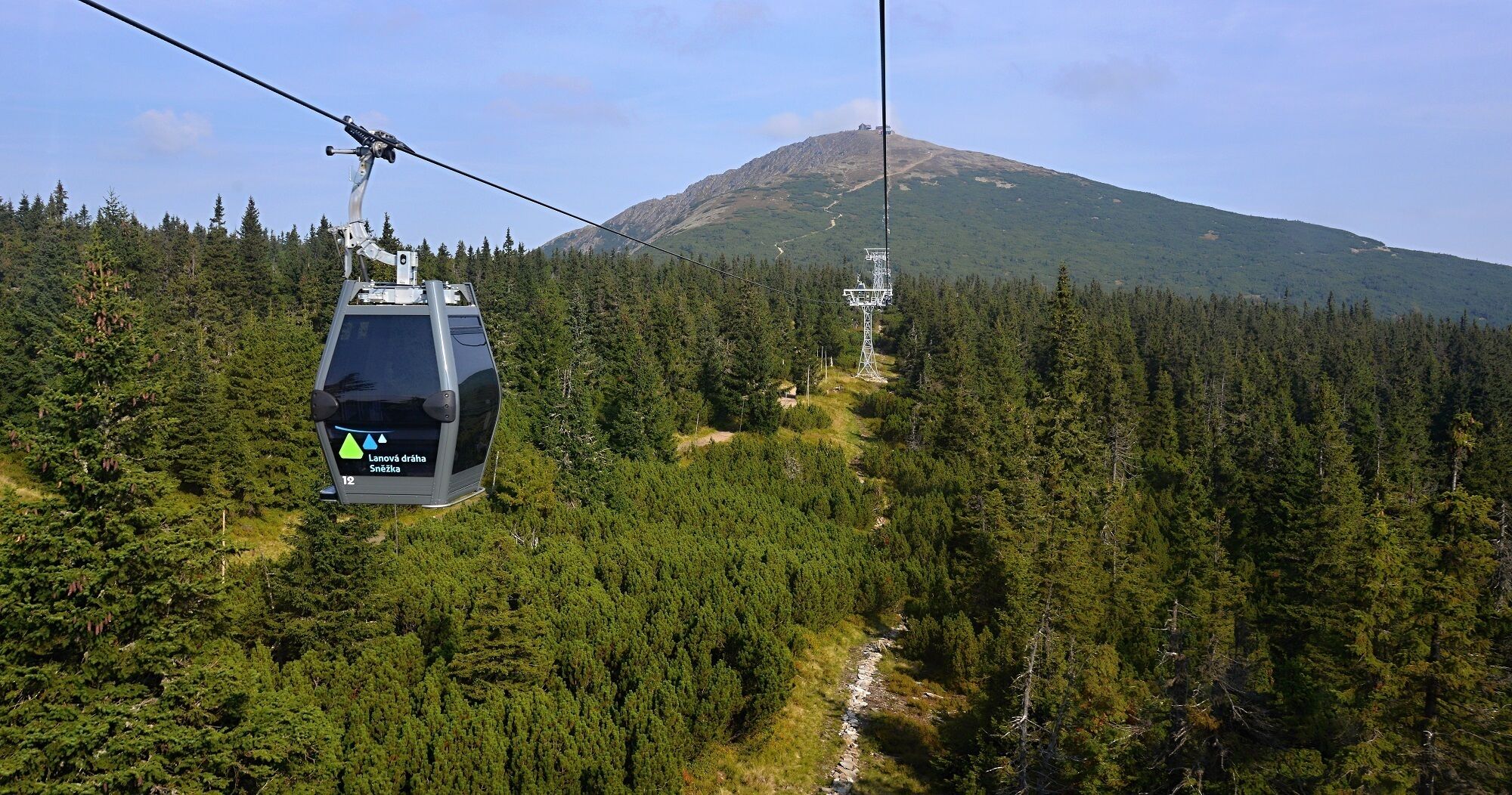 A cable car system in a forested mountainous area.