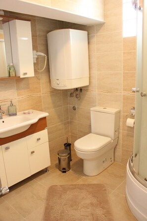 Regadera, amenidades de baño gratuitas, secadora de cabello, pantuflas 