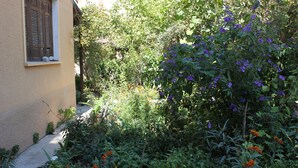 Un jardín con diversas plantas y flores, una ventana con contraventanas, y un sendero que lleva a una puerta.