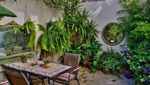 Teres/patio