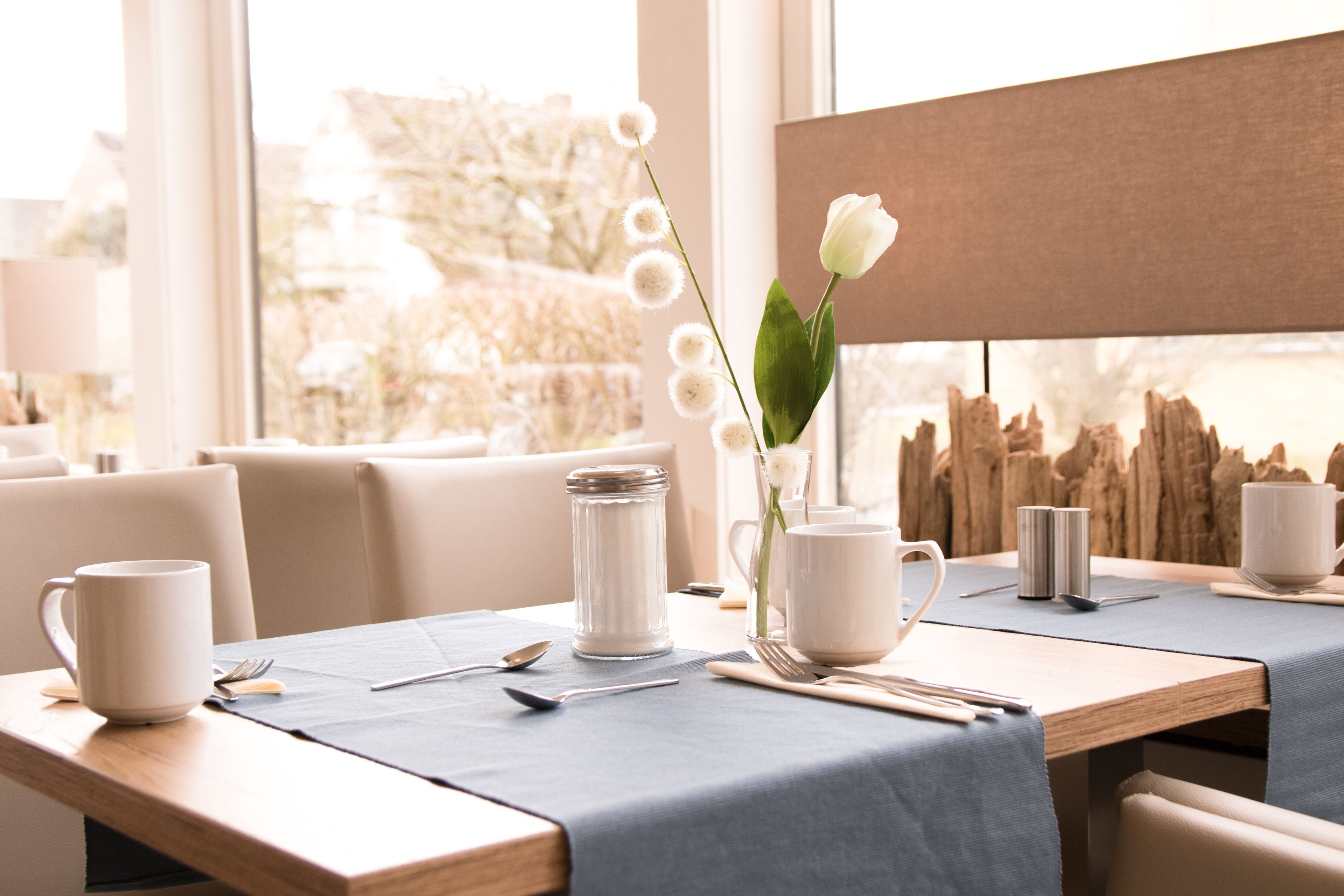 daily buffet breakfast for a fee