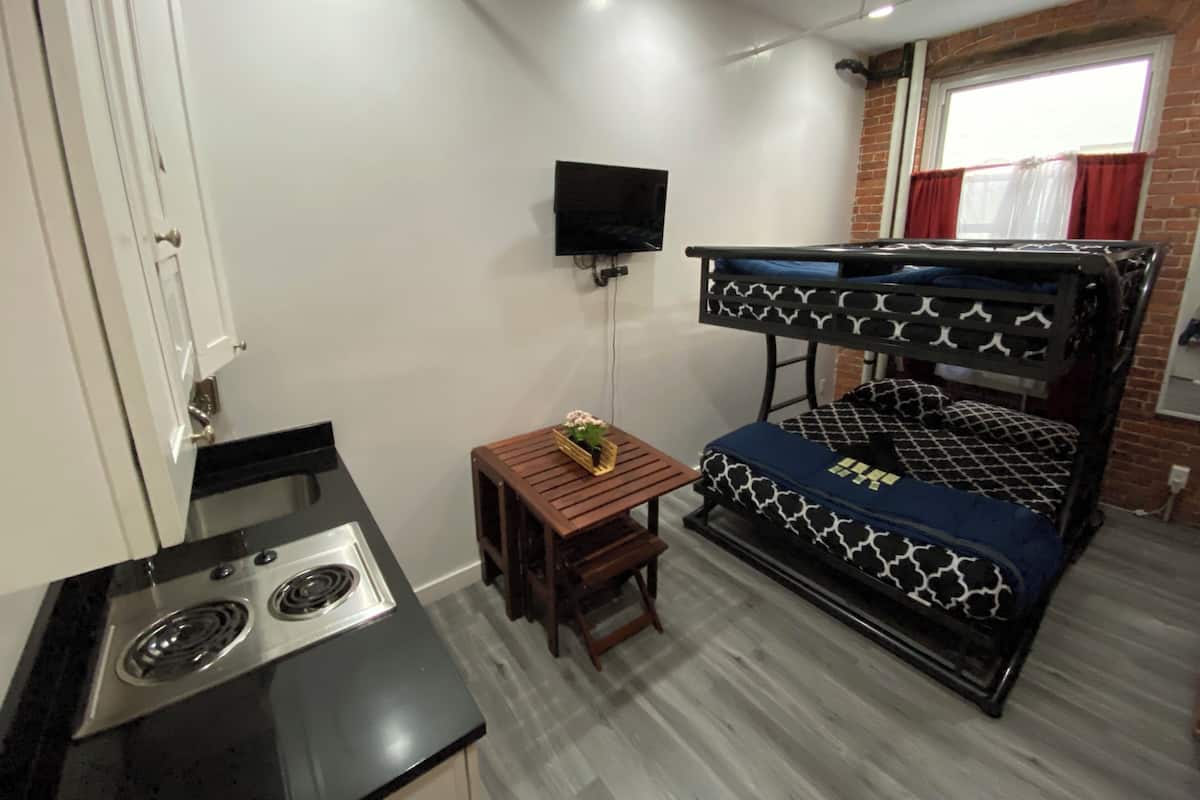 Una habitación compacta con una litera, una mesita con una planta, un televisor montado en la pared y una kitchenette con estufa.