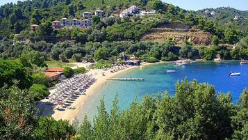 Vista desde la propiedad