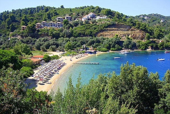 View from property - Hotel Hermes (Skiathos)