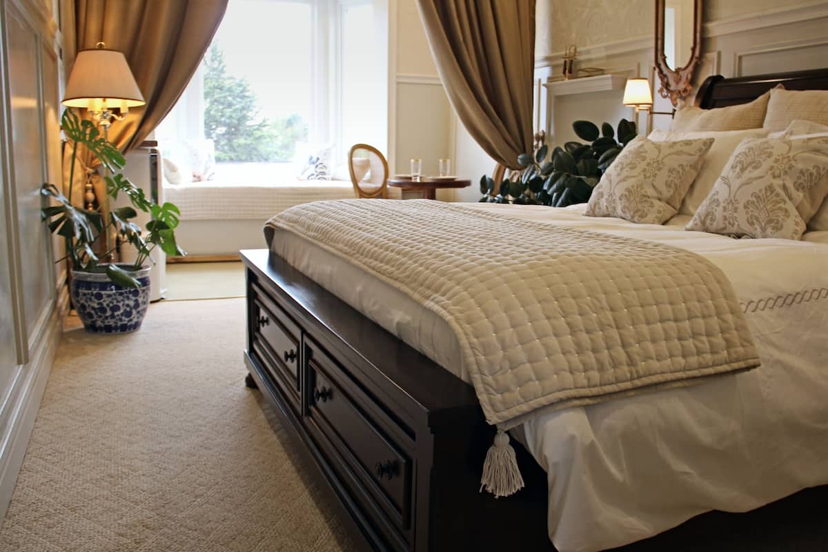 A neatly arranged bedroom with a large bed, a bedside table, a lamp, and a potted plant.