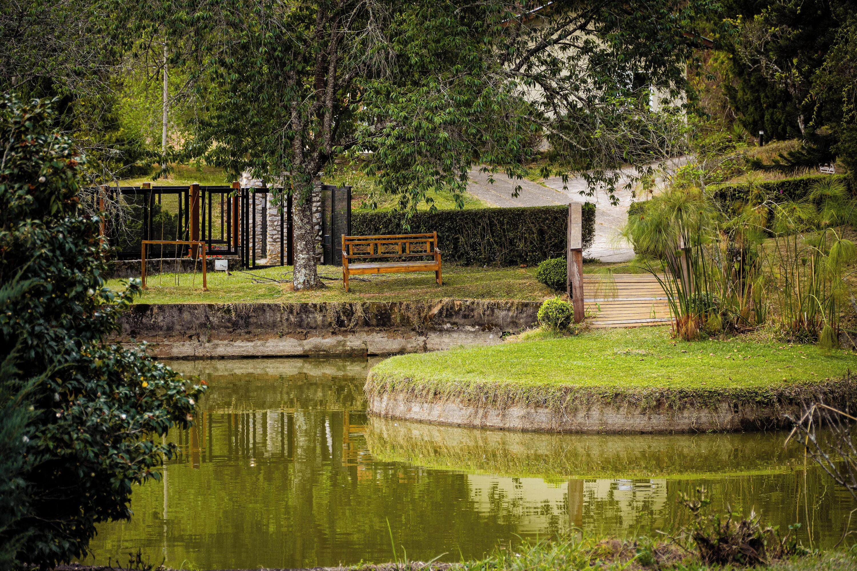 Un parque tranquilo con un estanque, un banco de madera y una pequeña construcción de madera.