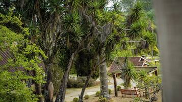 Comfort Chalet | Pemandangan dari bilik