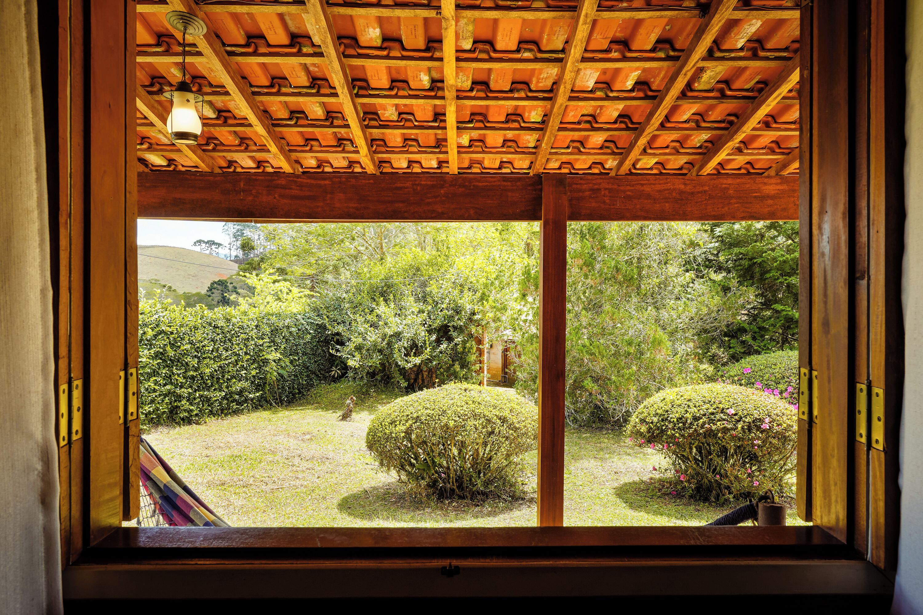 A wooden ceiling with a patterned design and a window revealing a garden with bushes and a small tree.