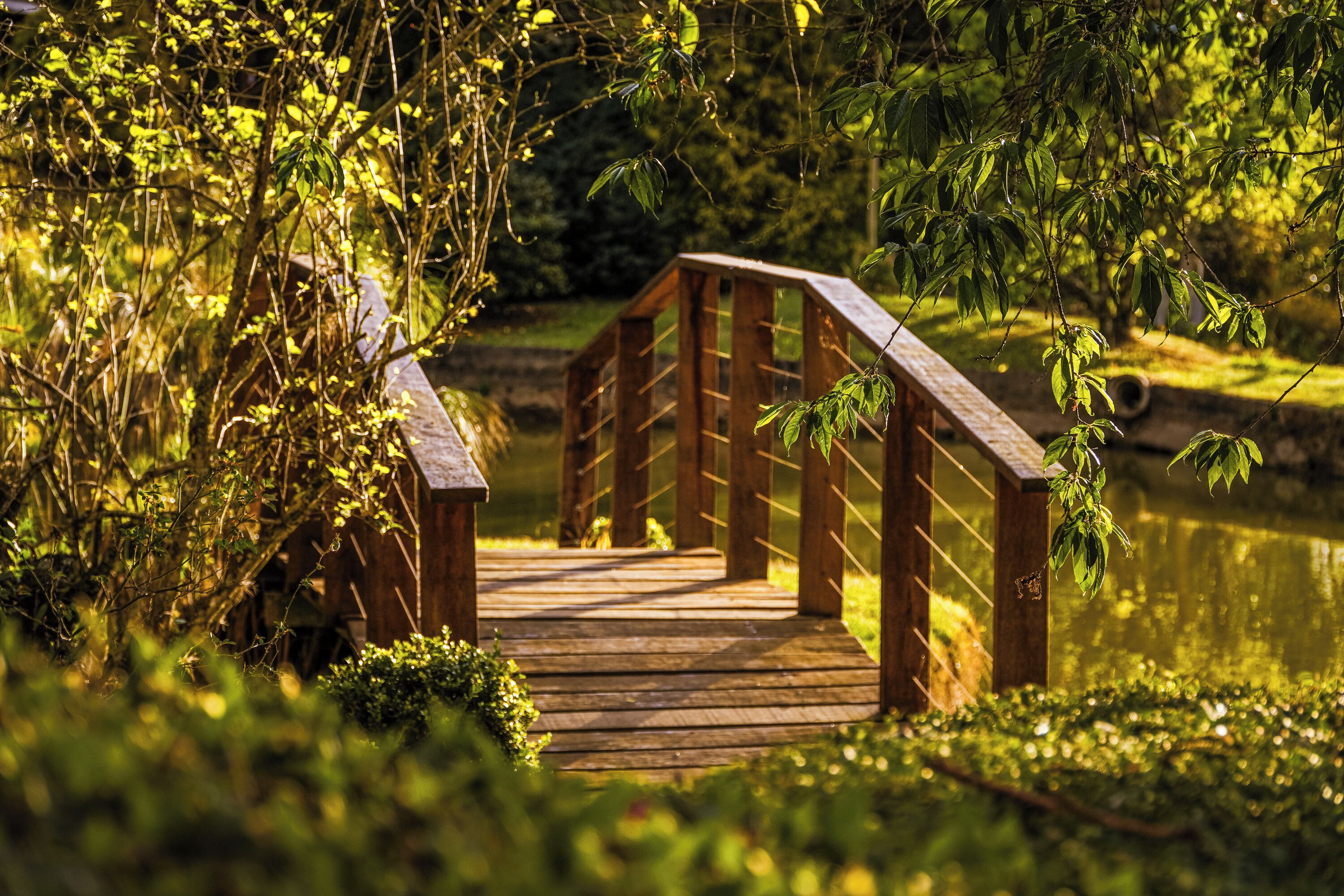 Khuôn viên nơi lưu trú