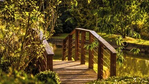 A wooden bridge over a pond surrounded by lush greenery. - VELINN Hotel Fazenda Fonte das Hortênsias (Santo Antonio do Pinhal)