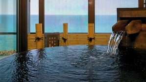 未分類圖片，第 2 張 (共 102 張)，按鈕