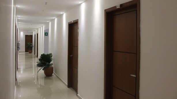 Corredor longo e bem iluminado, com várias portas, um vaso de planta e piso limpo e brilhante.