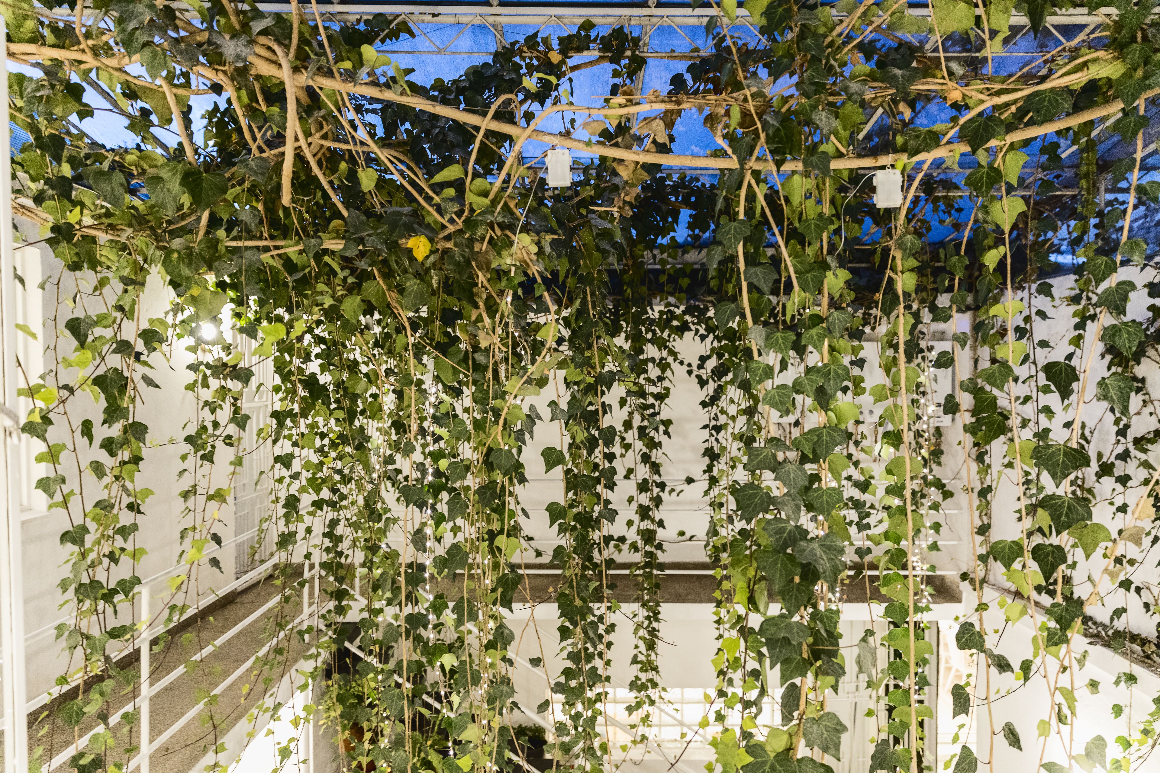 A covered outdoor area with a white metal railing and dense green foliage.