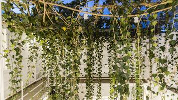 A covered outdoor area with a white metal railing and dense green foliage.