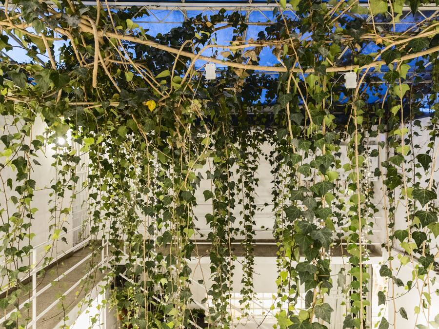 A covered outdoor area with a white metal railing and dense green foliage.