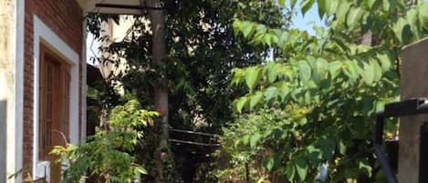 Jardin