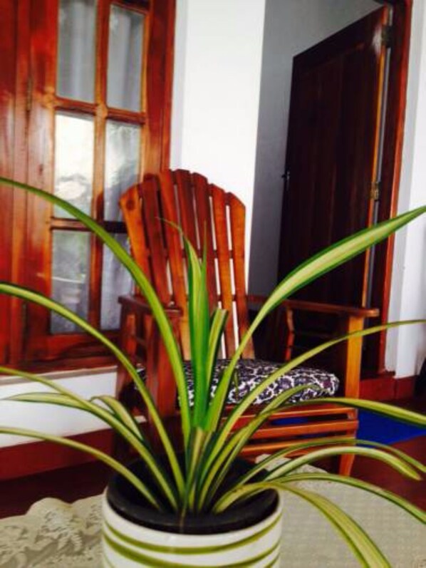 A potted plant in a striped pot on a table with a patterned cushion in the background. - Manik Home Stay (Negombo)