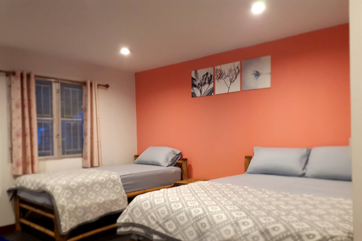 Rollaway beds, free WiFi