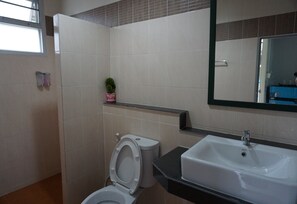Shower, free toiletries, towels