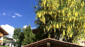 A rustic wooden cabin with a porch, surrounded by lush greenery and a yellow flowering tree. - Garni Raetia (Corvara in Badia)