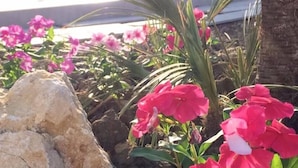 Un jardín con flores rosadas y una palmera.