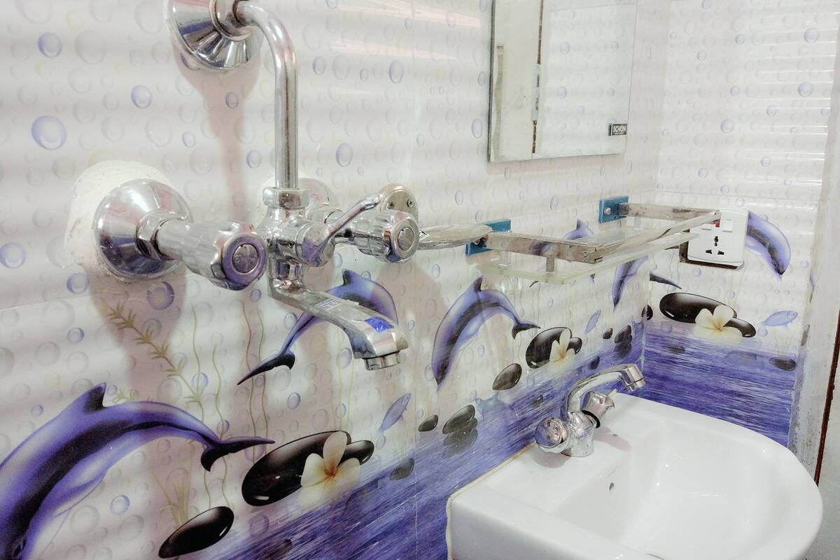 A bathroom with a white sink, a mirror, and a shower with a dolphin mural.