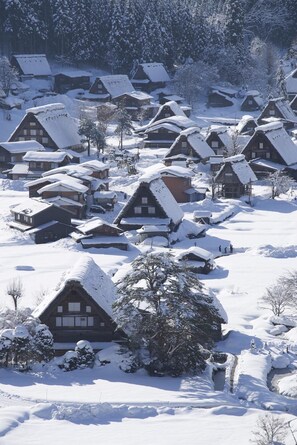 Snow and ski sports - Guesthouse Ant Hut (Shirakawa)