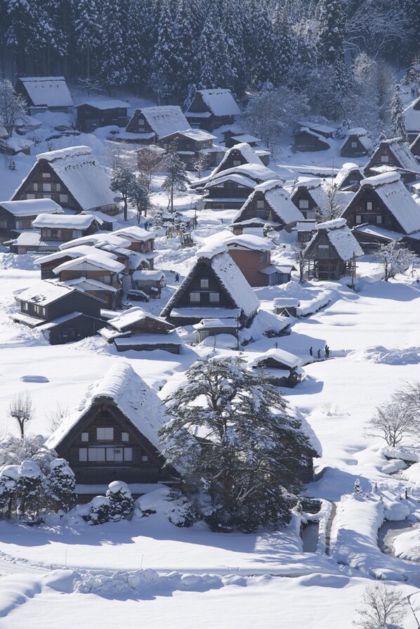 Snow and ski sports - Guesthouse Ant Hut (Shirakawa)