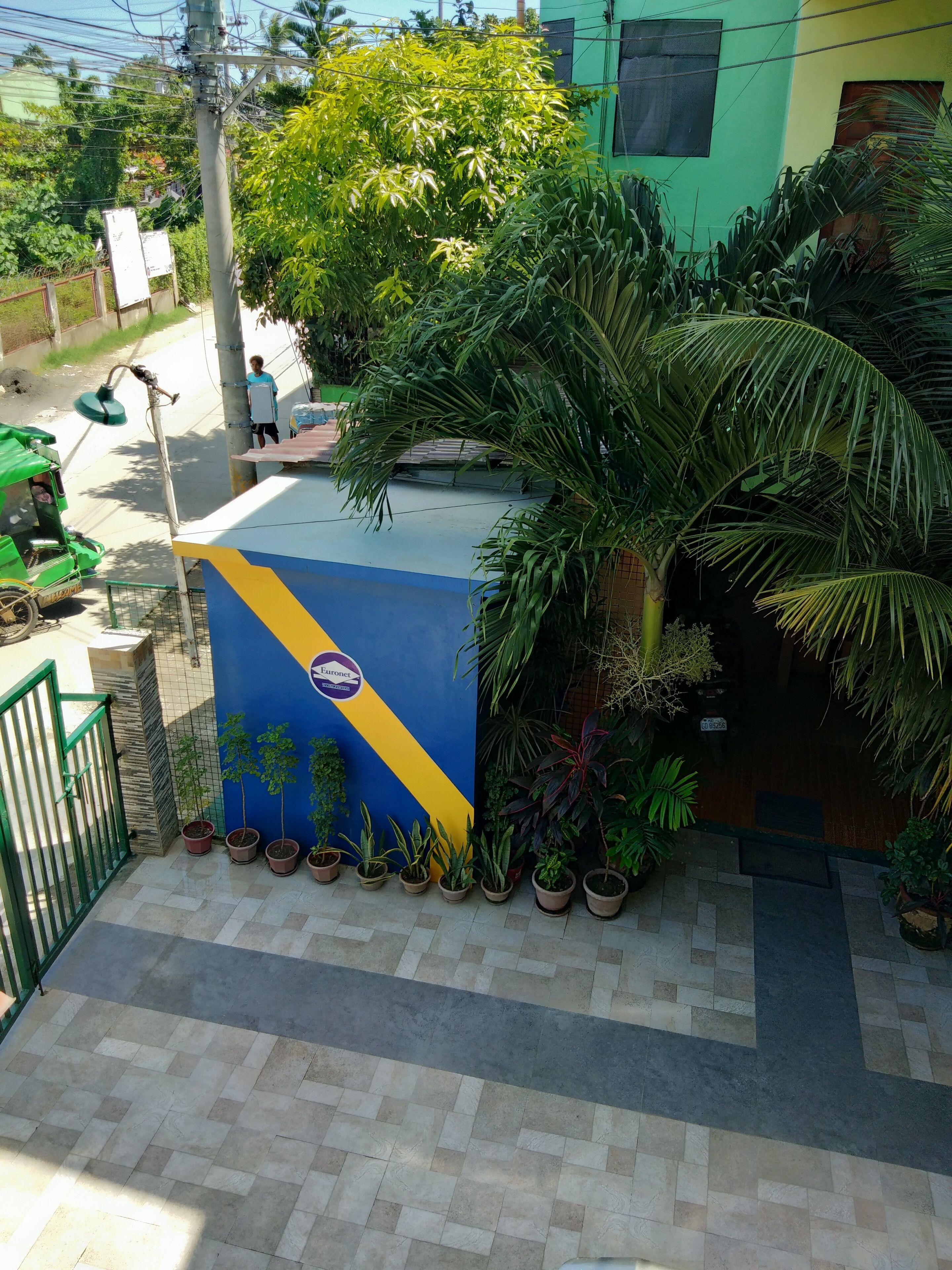 A building with a blue and yellow facade, a green gate, and potted plants.