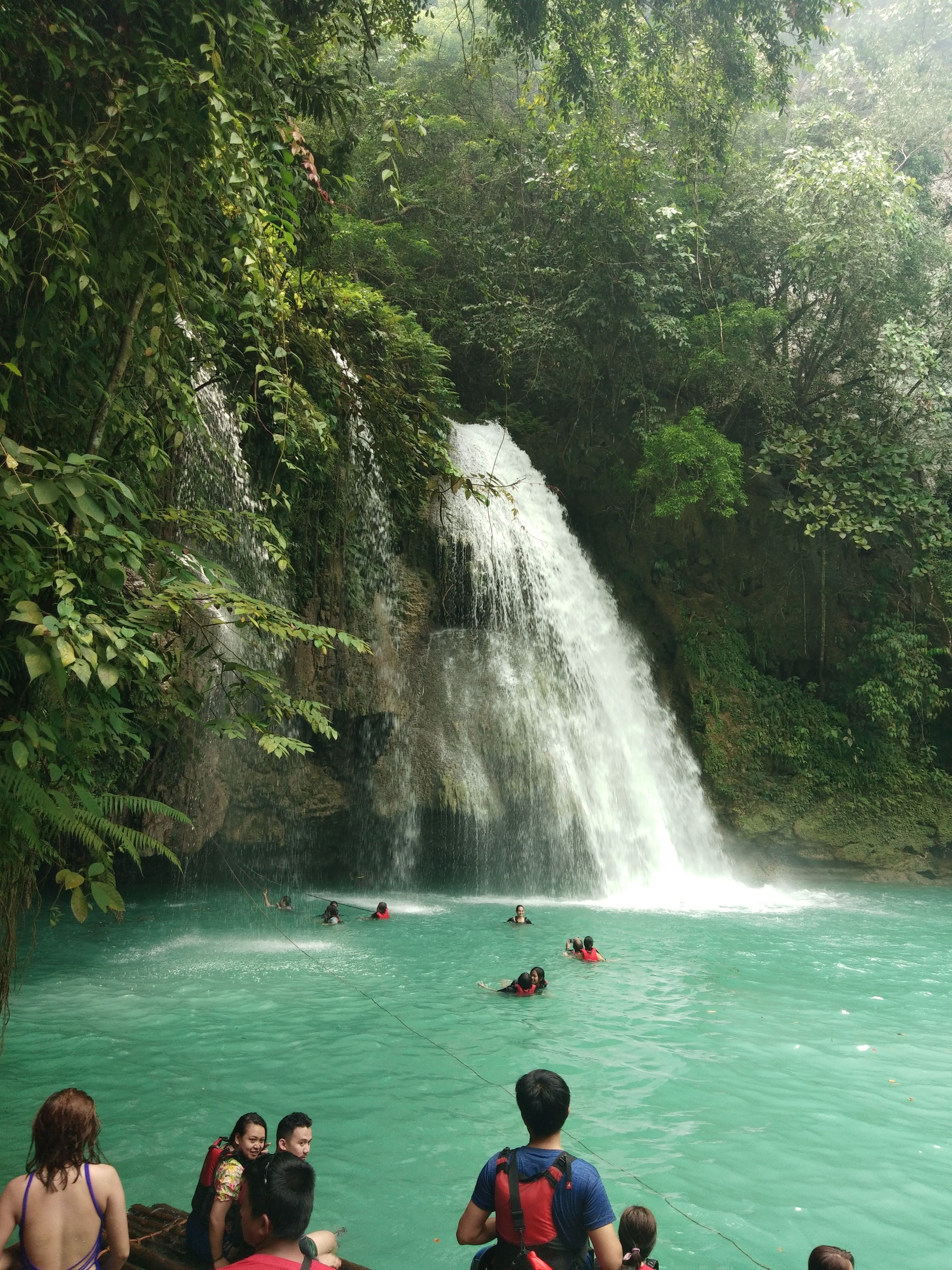 Una cascada en un entorno boscoso, exuberante y verde, con agua turquesa cristalina.