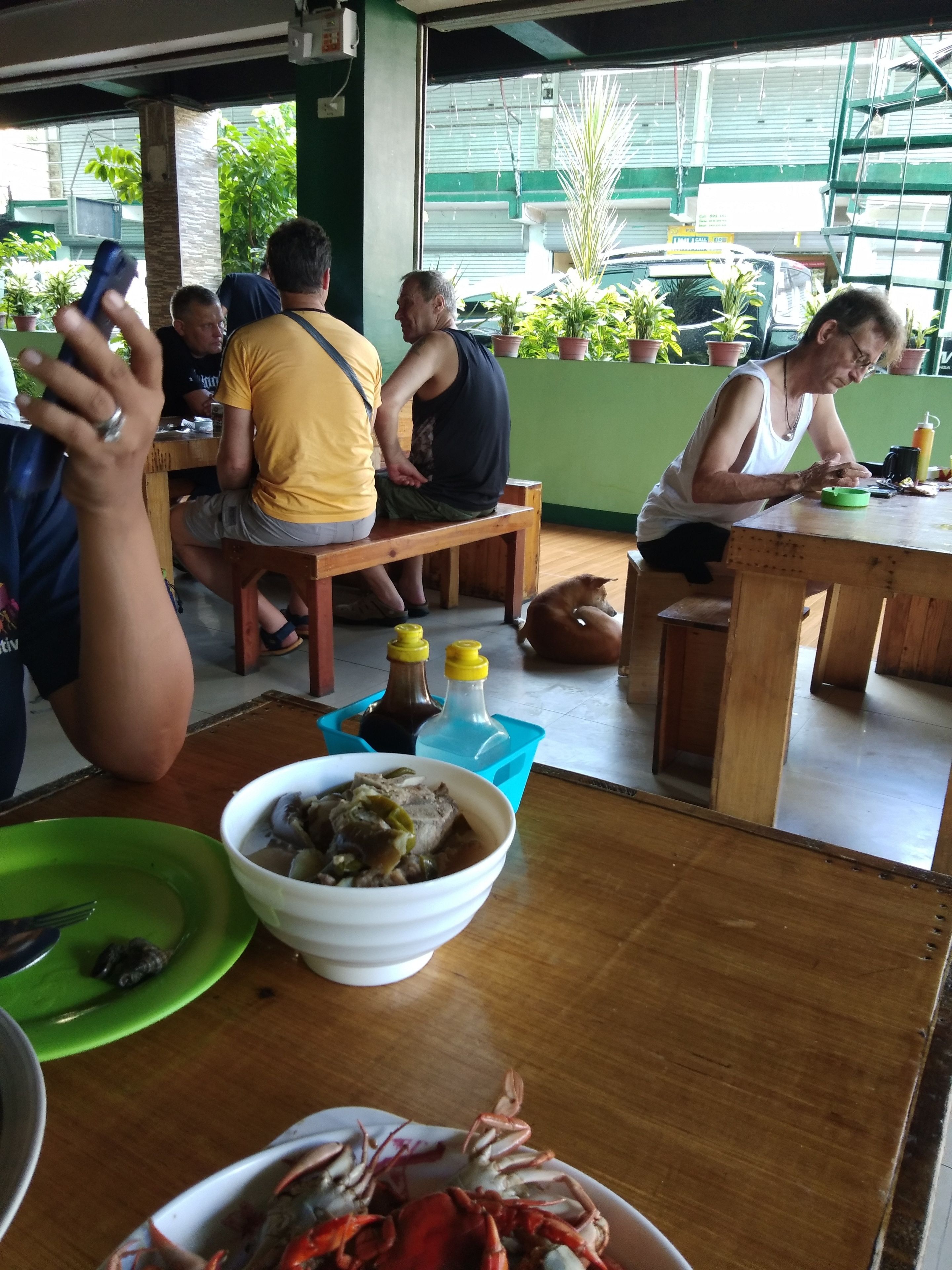 A restaurant with wooden tables and benches, a bowl of food, and a dog on the floor.