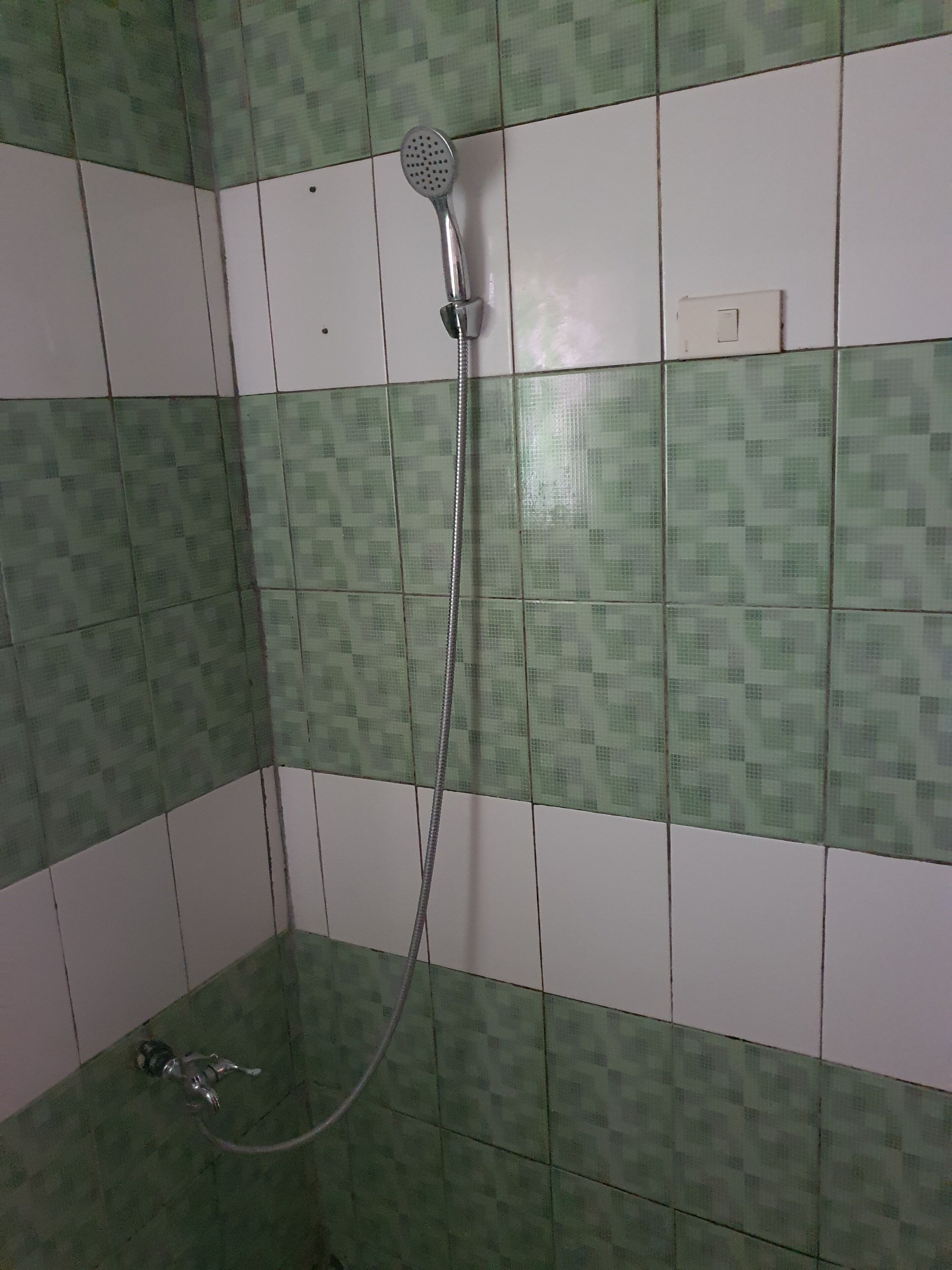 A shower with a handheld showerhead and a wall-mounted control.