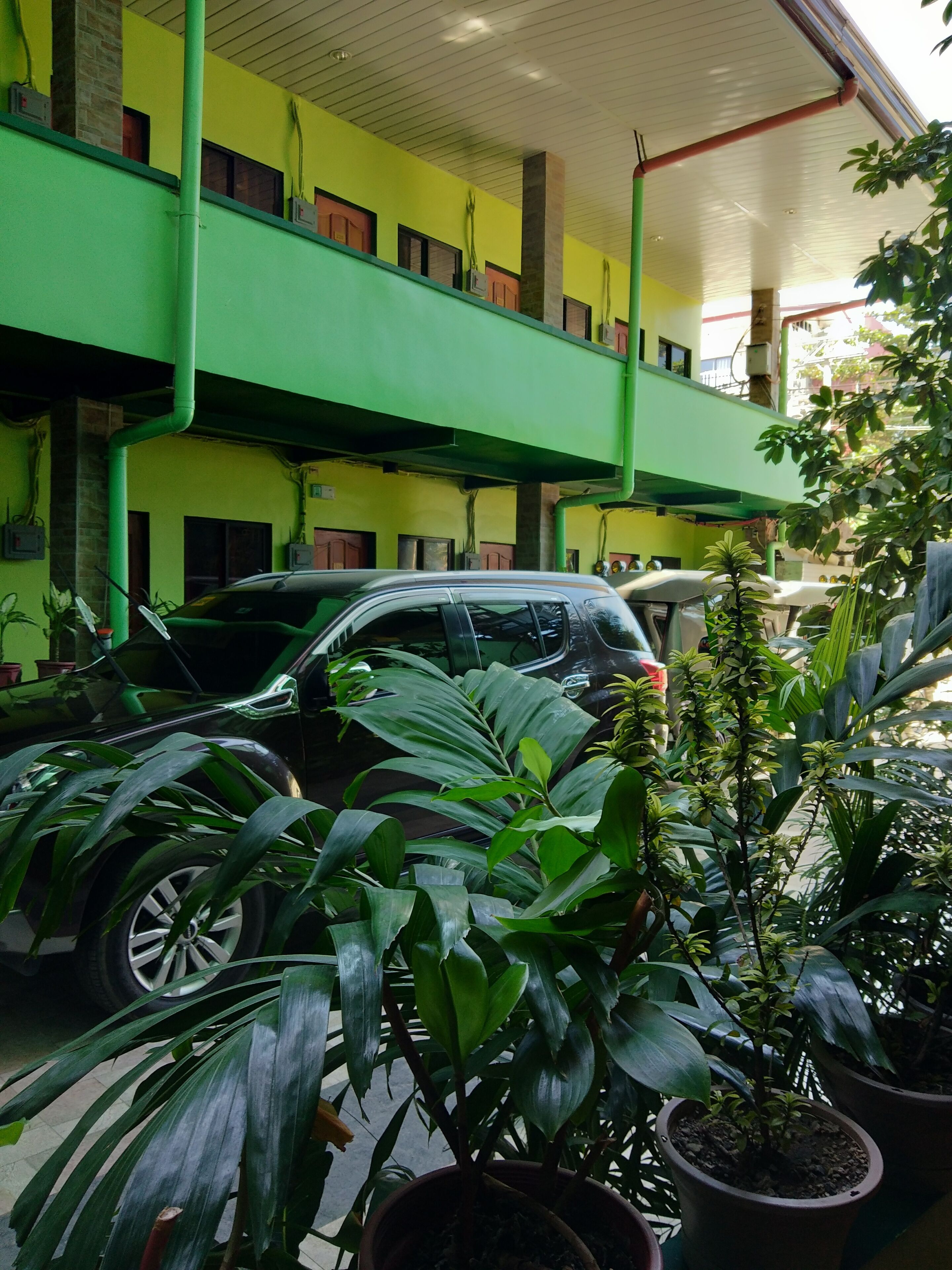 A multi-level building with a green exterior, a parked car, and potted plants.