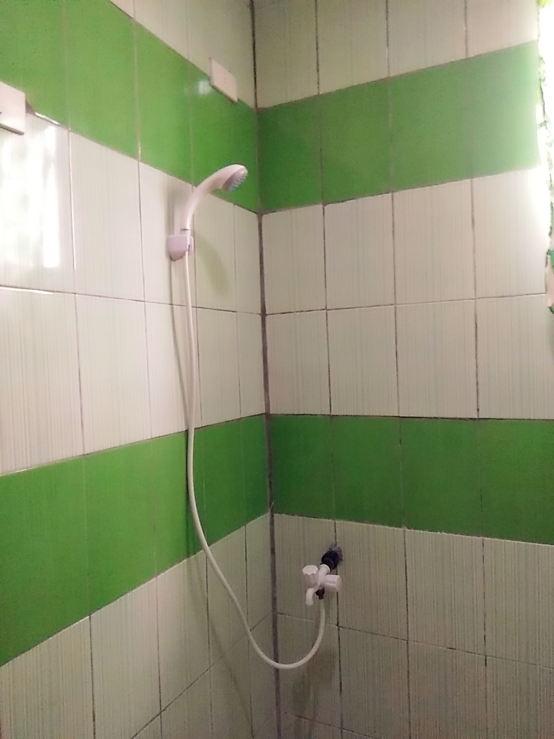 A shower with a handheld showerhead and a wall-mounted faucet, set in a room with green and white tiled walls.