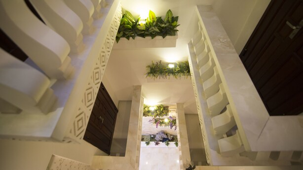 A staircase with a geometric patterned wall and a ceiling adorned with green plants. - 1 Stop Dory Hotel (Da Nang)